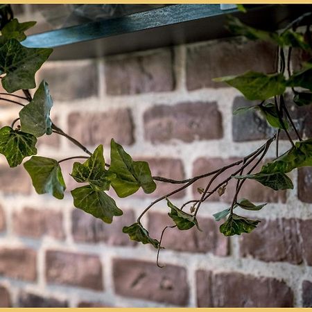 Appartement T3 I Cozy I Douvaine Exteriér fotografie