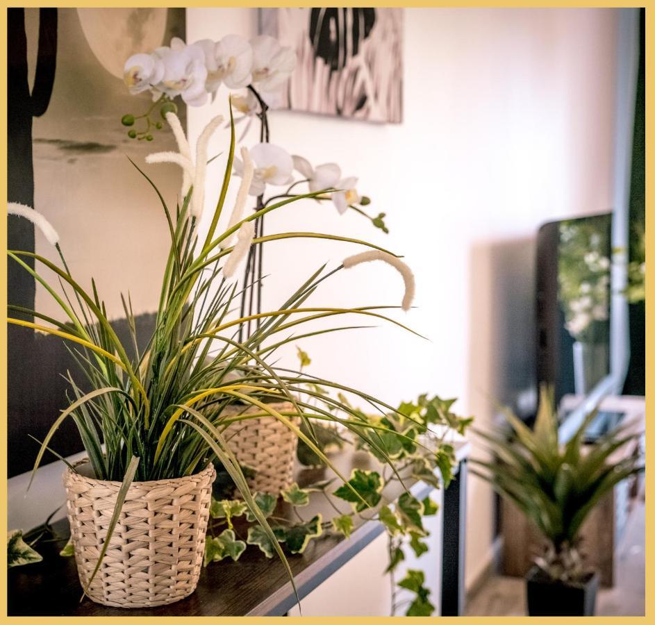 Appartement T3 I Cozy I Douvaine Exteriér fotografie
